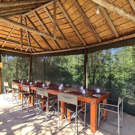The Wild Olive Tree Camp Hotell Welverdiend  Exteriör bild