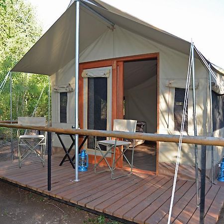 The Wild Olive Tree Camp Hotell Welverdiend  Rum bild