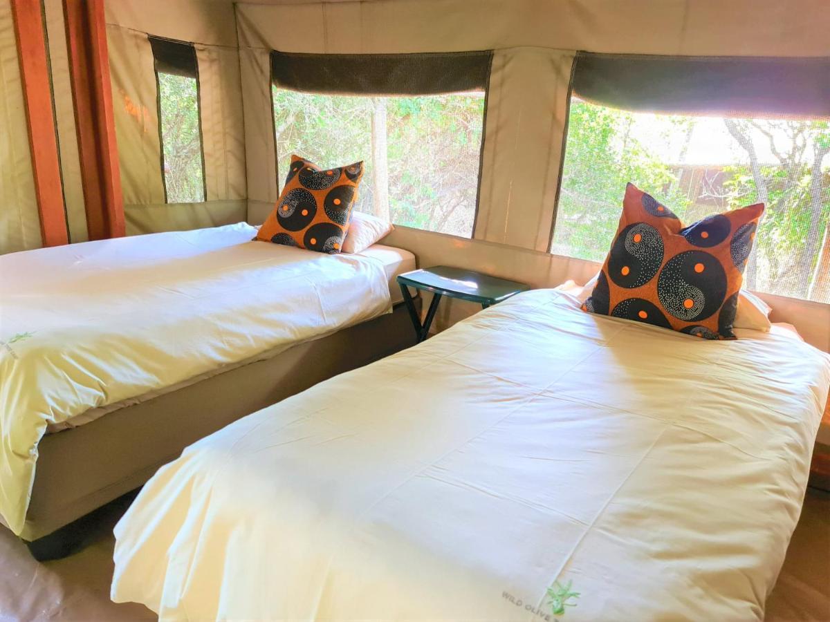 The Wild Olive Tree Camp Hotell Welverdiend  Exteriör bild