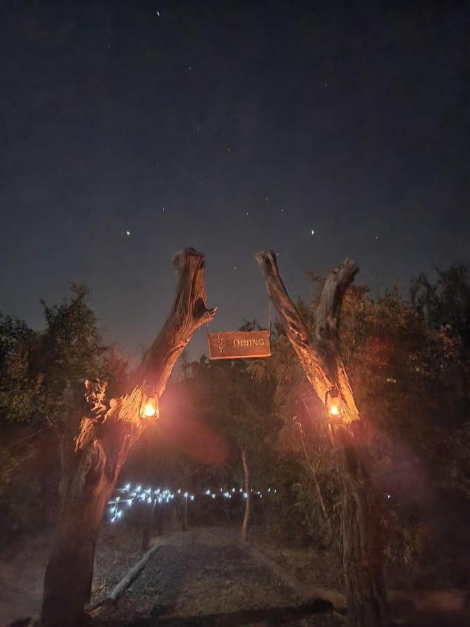 The Wild Olive Tree Camp Hotell Welverdiend  Exteriör bild