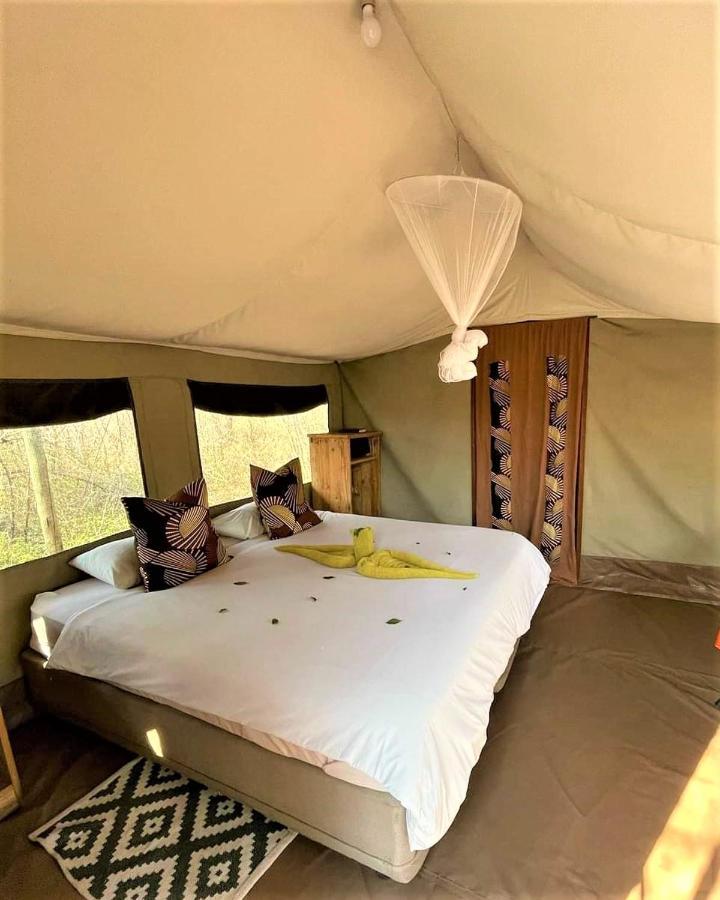 The Wild Olive Tree Camp Hotell Welverdiend  Exteriör bild