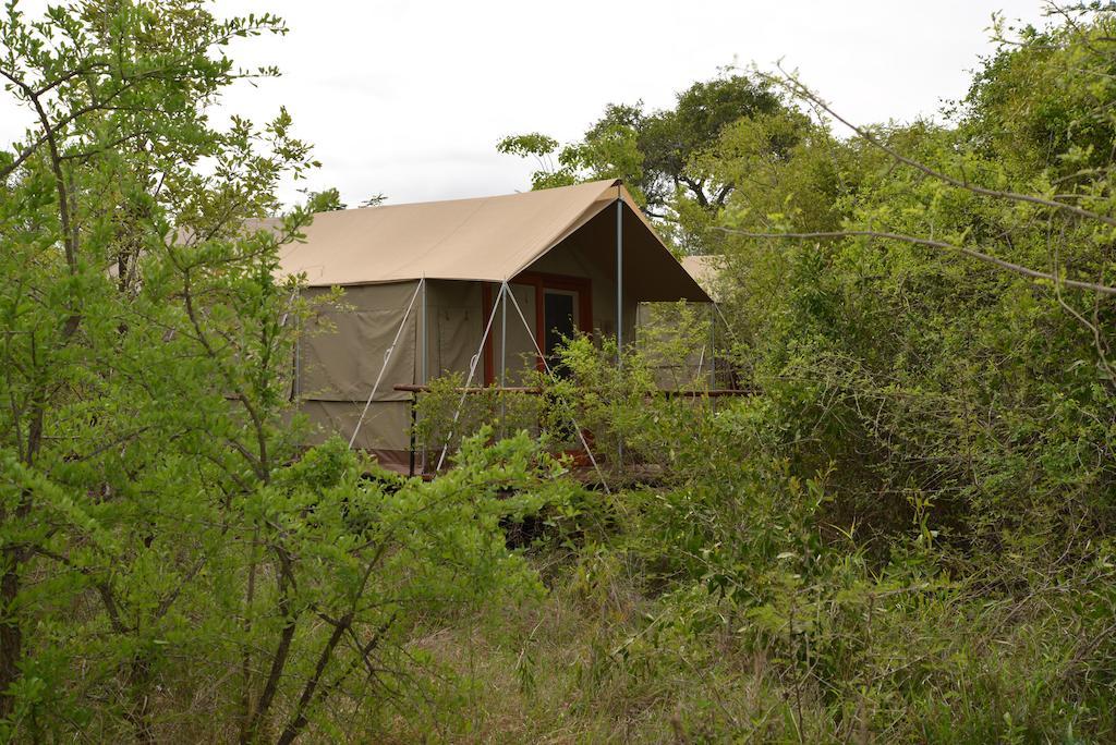 The Wild Olive Tree Camp Hotell Welverdiend  Exteriör bild